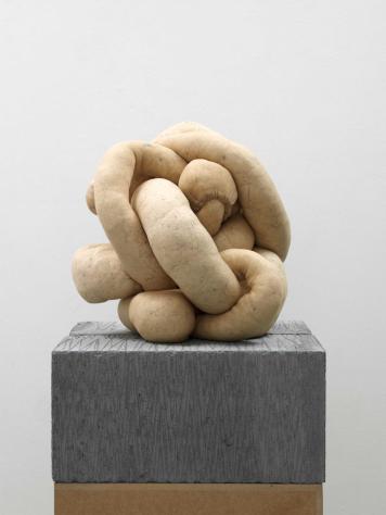 Sarah Lucas - tights, fluff, wire